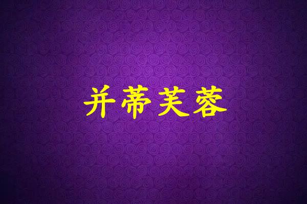 并蒂芙蓉