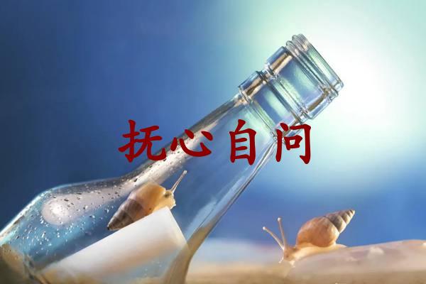 抚心自问