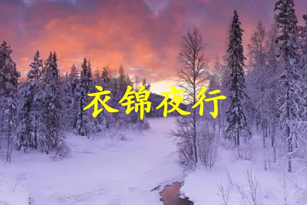 衣锦夜行
