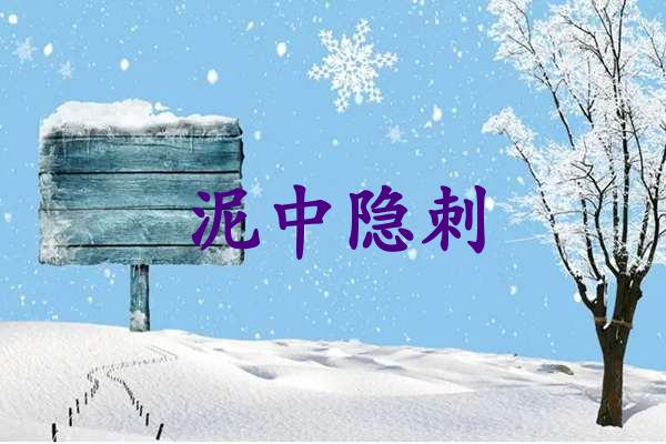 泥中隐刺