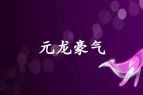 元龙豪气