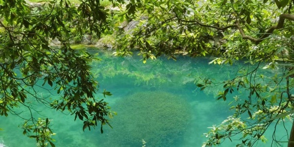 2025年9月2日横财运势最好的四大生肖