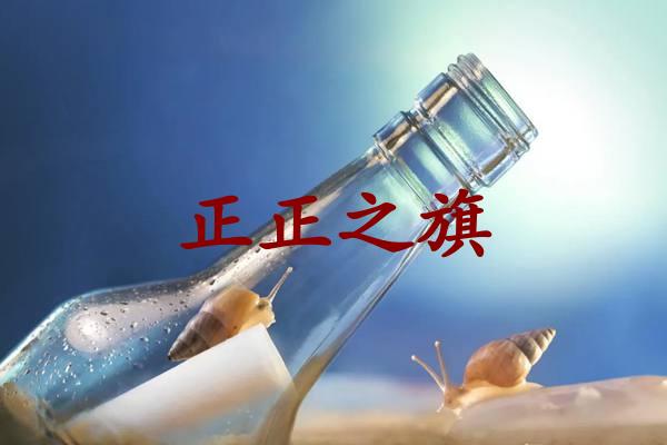 正正之旗