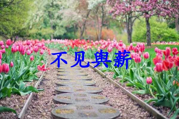 不见舆薪