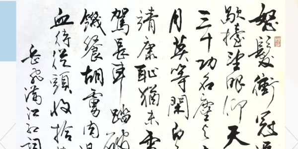 壮志未酬是什么生肖（壮志未酬打一生肖） 