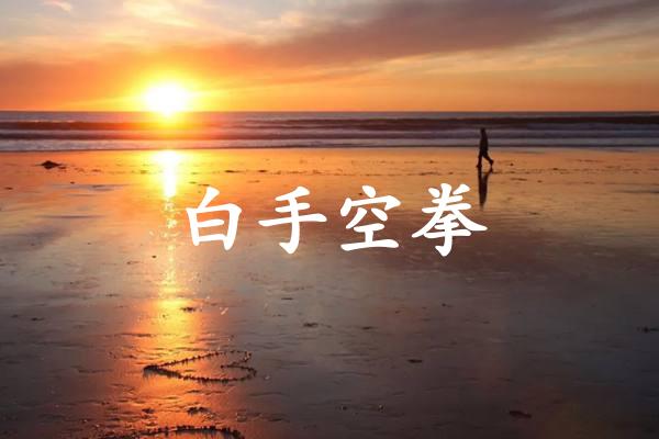 白手空拳