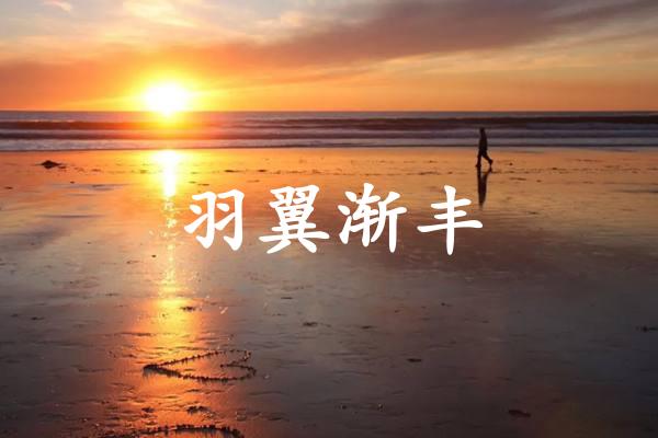羽翼渐丰