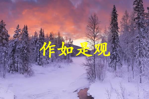 作如是观