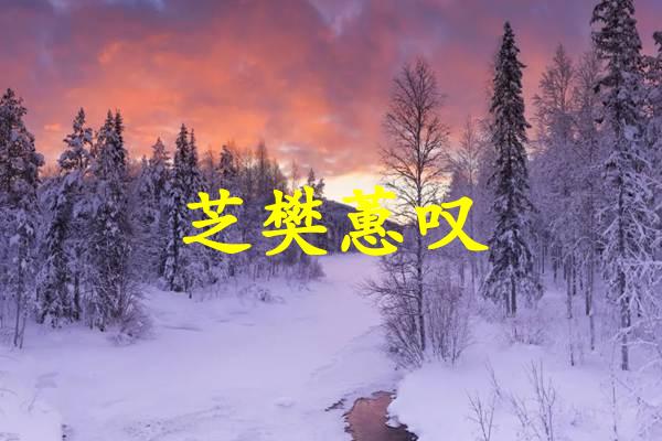 芝樊蕙叹