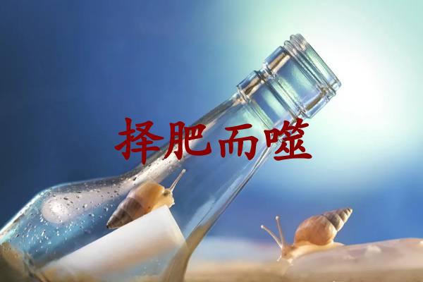 择肥而噬