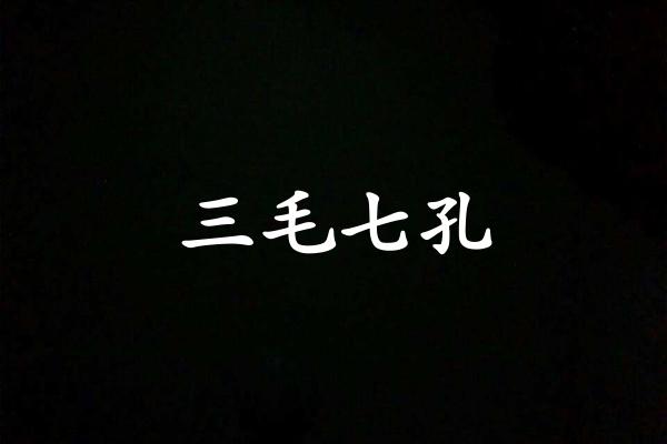 三毛七孔