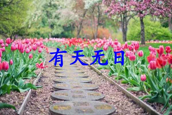 有天无日