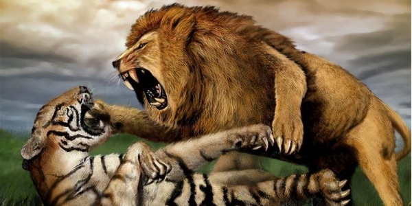 雄狮猛虎是什么生肖猜测是什么生肖动物