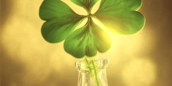 2026年十二生肖全年运势大全 