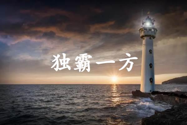 独霸一方