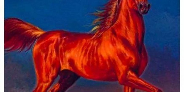 红马单春年是什么意思,哪些人需要穿红