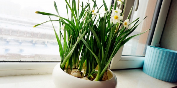 洞深重叠拖云湿,谁知暮也远如天。西池月上人归后,穿竹微吟路径斜。猜生肖