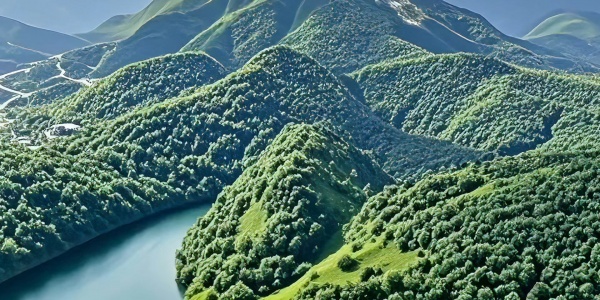 丰沾同舍白鹅群。  山深自共雪商量，  燕集空后谁相伴。 猜生肖 