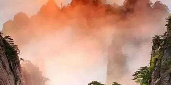 ‌官大权大肚子大，身长体长尾毛长。‌猜生肖 