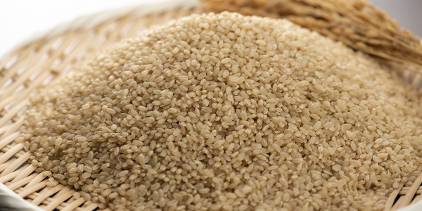 舐糠及米是什么生肖，打一生肖猜测是什么生肖动物 