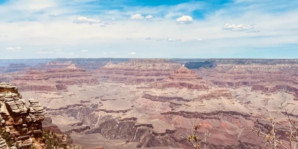 1983年属狗人2026年运势运程