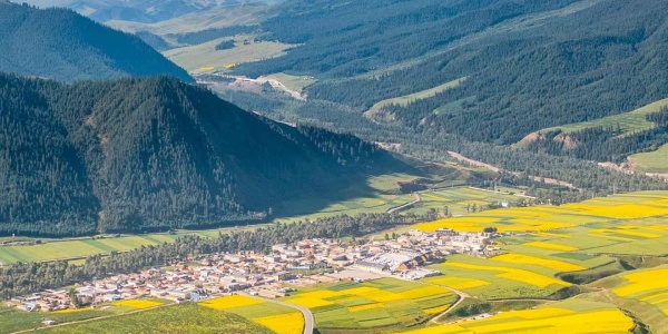 2019年属猪人2026年运势运程（2026年马年2019年出生生肖猪人运势如何） 