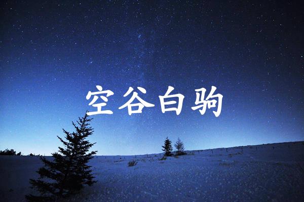 空谷白驹