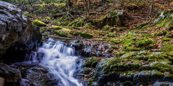 2007年属猪人2026年运势运程 