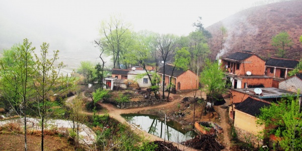 2008年属鼠人2026年运势运程（2008年出生属鼠人在2026年马年运势如何） 