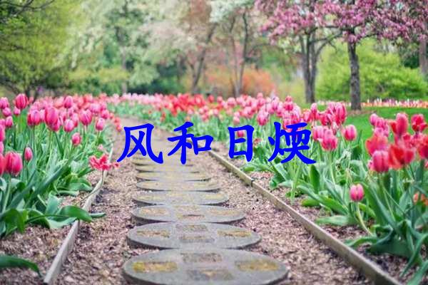 风和日煗是什么生肖（风和日煗打一生肖）