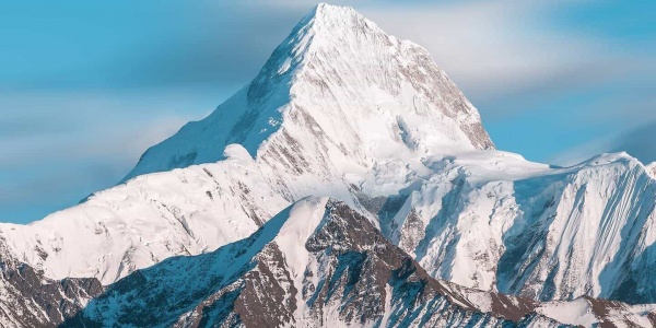 1982年属狗人2026年运势运程 