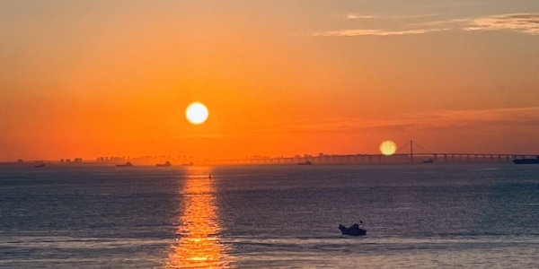 1971年属猪人2026年运势运程运程（1971年出生属猪人在2026年马年运势如何） 