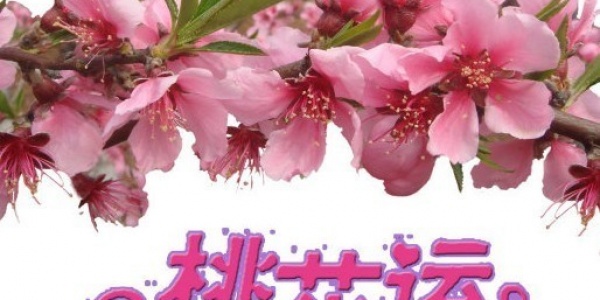 十二生肖如何在2026年提升自己的桃花运？ 