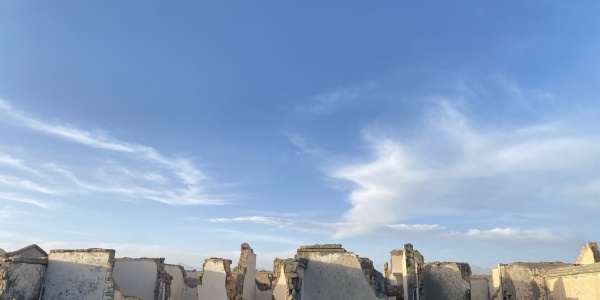 断瓦残垣是什么生肖,打一生肖猜测是什么生肖动物