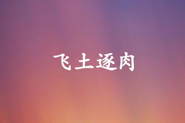 飞土逐肉