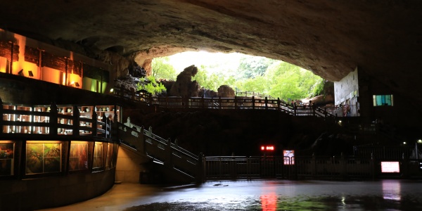 2026年2月5日十二生肖运势详解 