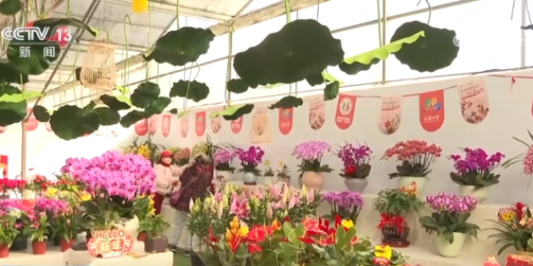 活力足，迎新春！各地“年味”上线氛围感已拉满