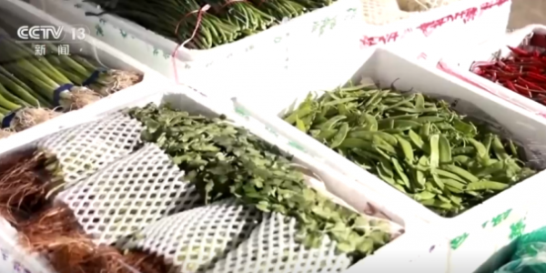 活力足，迎新春！各地“年味”上线氛围感已拉满