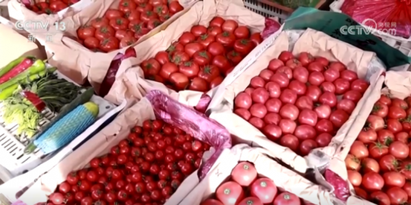 活力足，迎新春！各地“年味”上线氛围感已拉满