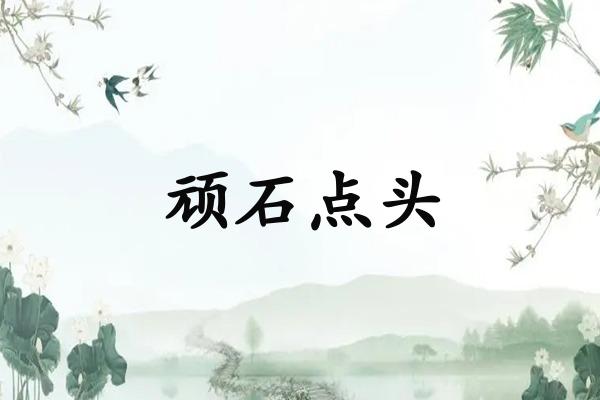 顽石点头
