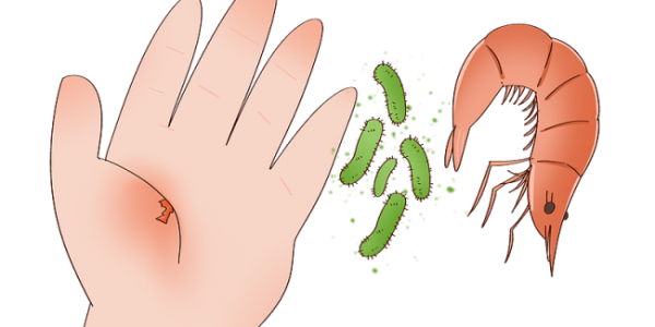 这几种肉这样吃!年夜饭照着做,健康美味全都有