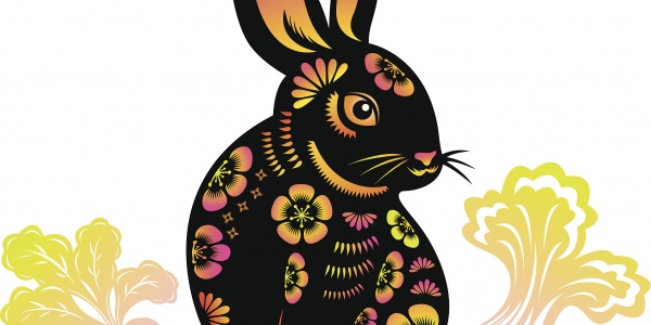 生肖兔人和生肖兔人2026年适合做什么生意？（属兔人和属兔人每个月适合做的生意） 