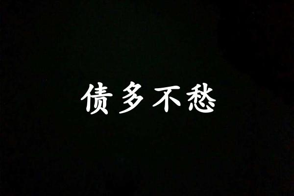 债多不愁