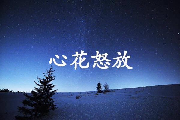心花怒放