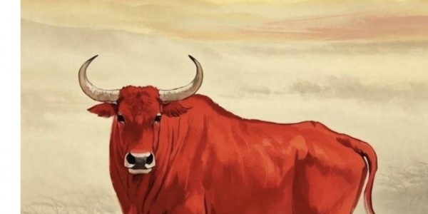 生肖牛人和生肖龙人2026年适合做什么生意？（属牛人和属龙人每个月适合做的生意） 