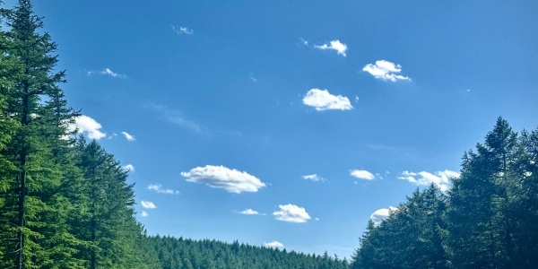 2026年3月25日十二生肖运势详解 