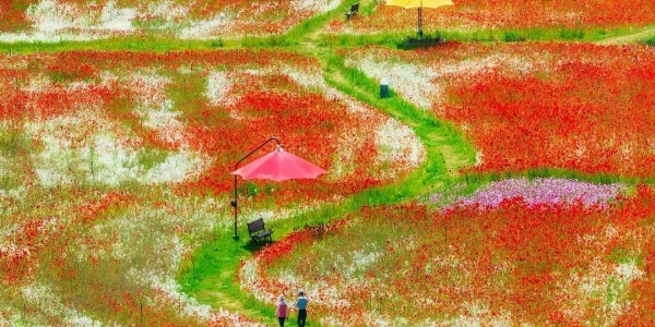 2026年3月27日十二生肖运势详解