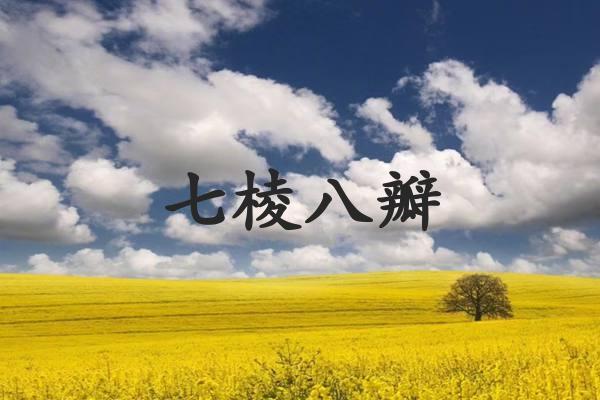 七棱八瓣