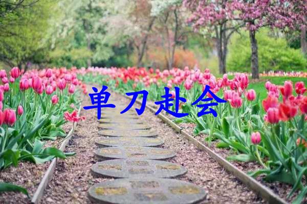 单刀赴会