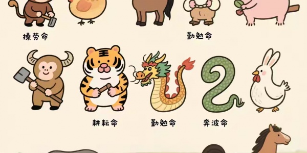 民少官多是什么生肖，民少官多打一生肖动物 